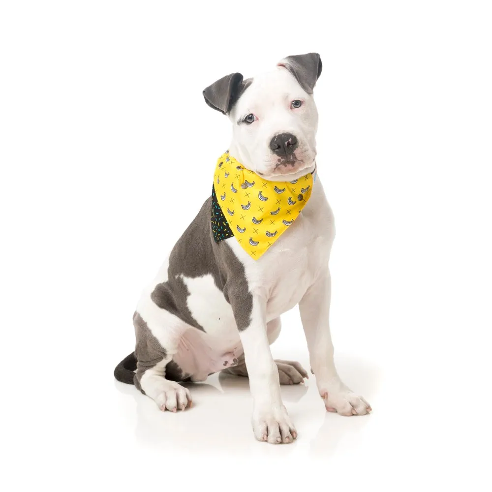 15% OFF: FuzzYard Pet Bandana (Monkey Mania)