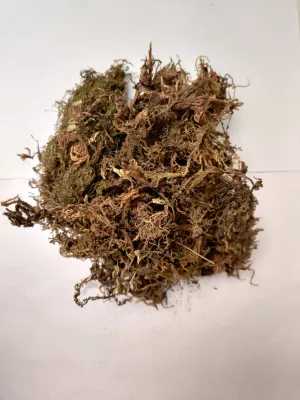 2 Kg Sphagnum Moss -Growing Medium for Plants