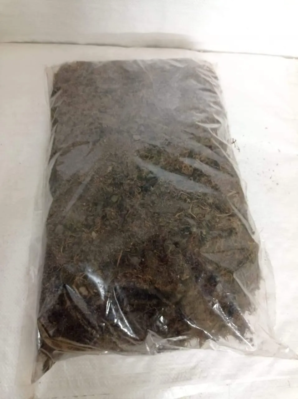 2 Kg Sphagnum Moss -Growing Medium for Plants