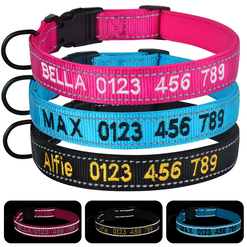 Adjustable Nylon Dog Collar Personalized