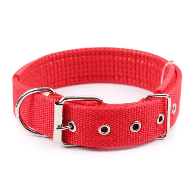 Adjustable Nylon Dog  Collars Neck