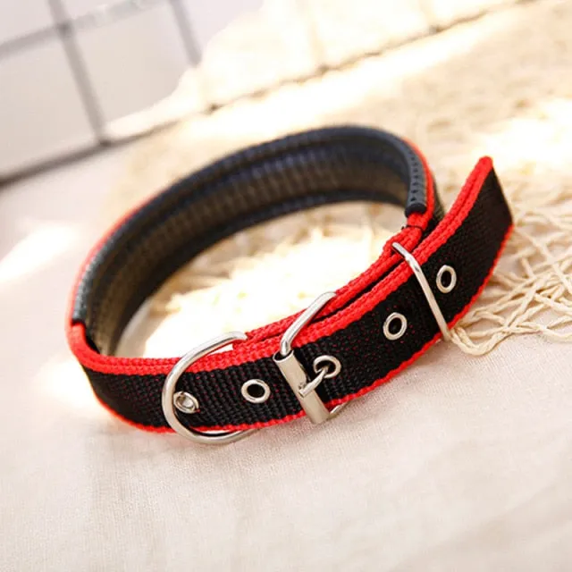 Adjustable Nylon Dog  Collars Neck