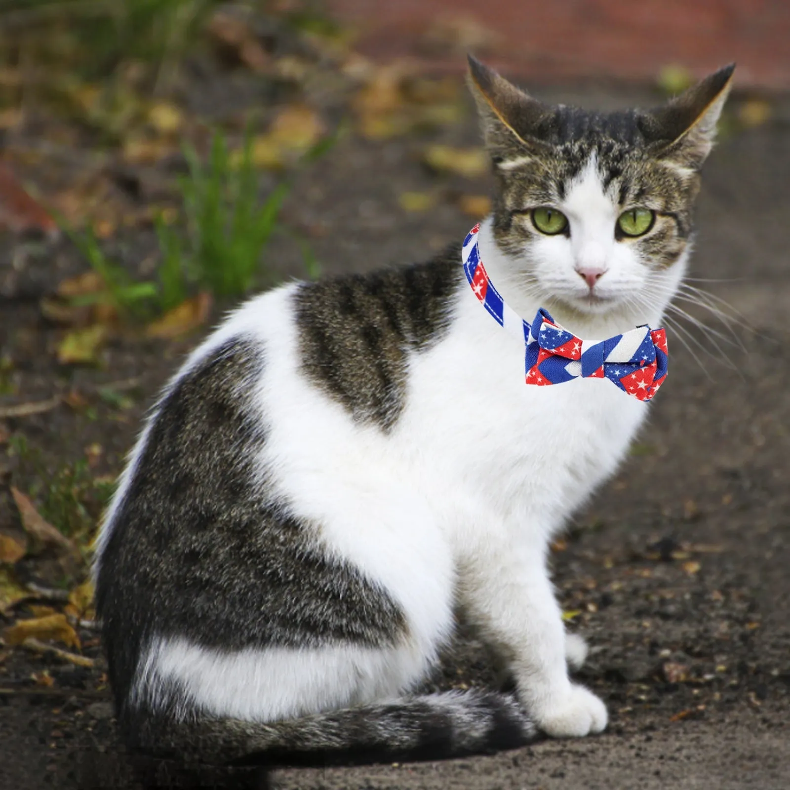 Aiitle American Flag Cat Collar for 4th of July Independence Day