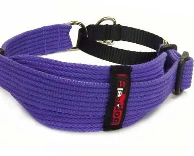 Black Dog Wear Whippet Collar