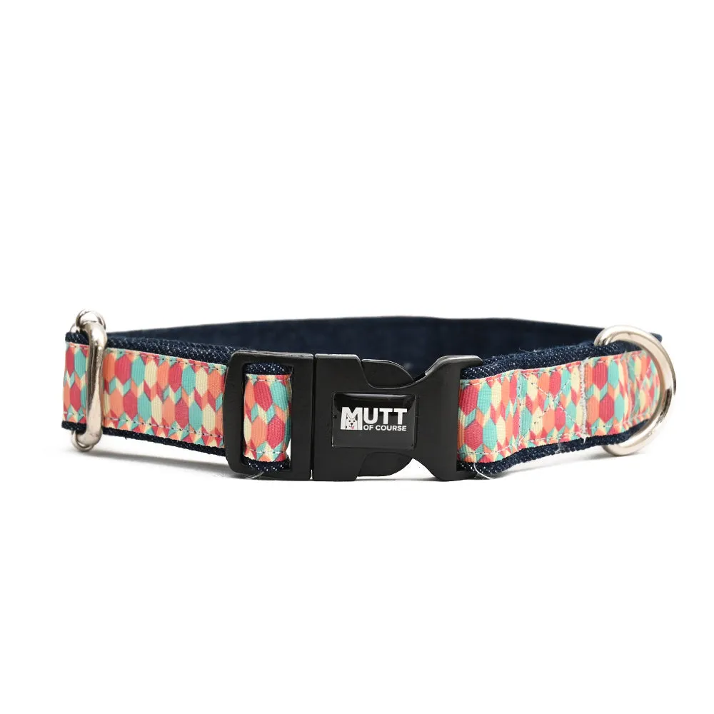 Candy Barr Denim Collar