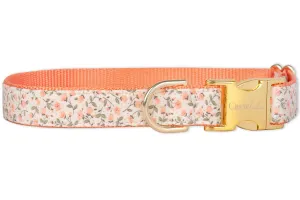 Canterbury Dog Collar