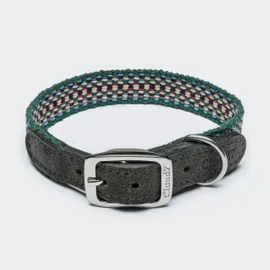 Cloud7: Prater Dog Collar in Forest