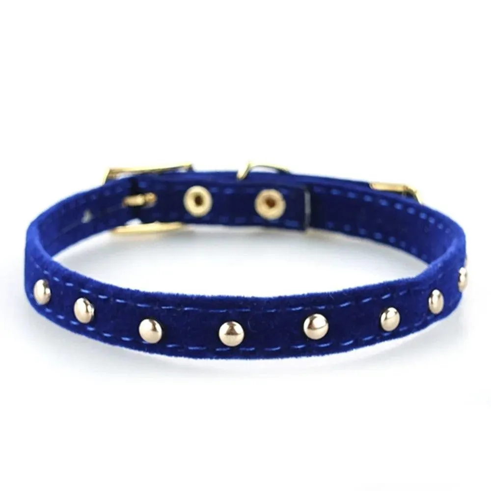 Deluxe Cloud & Gold Collar with Bell