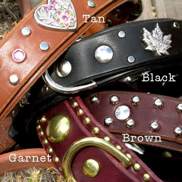 Designer Leather Dog Collar Stargazer Deluxe