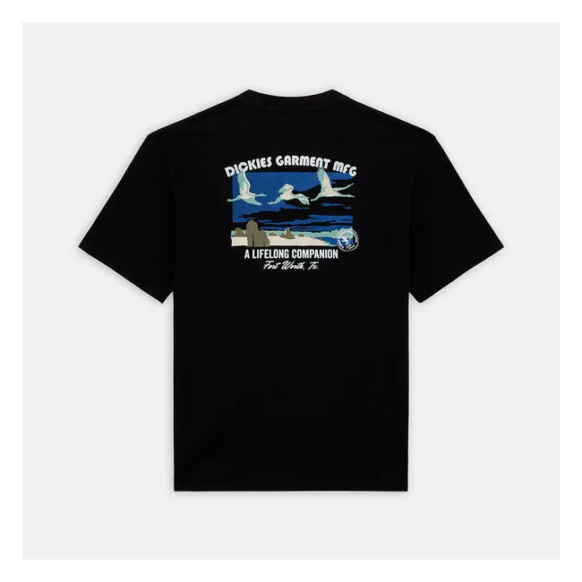 Dickies Companion T-Shirt Black