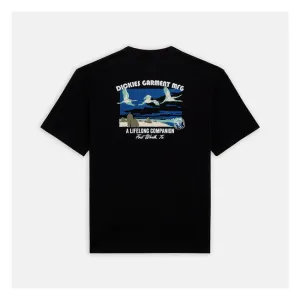 Dickies Companion T-Shirt Black