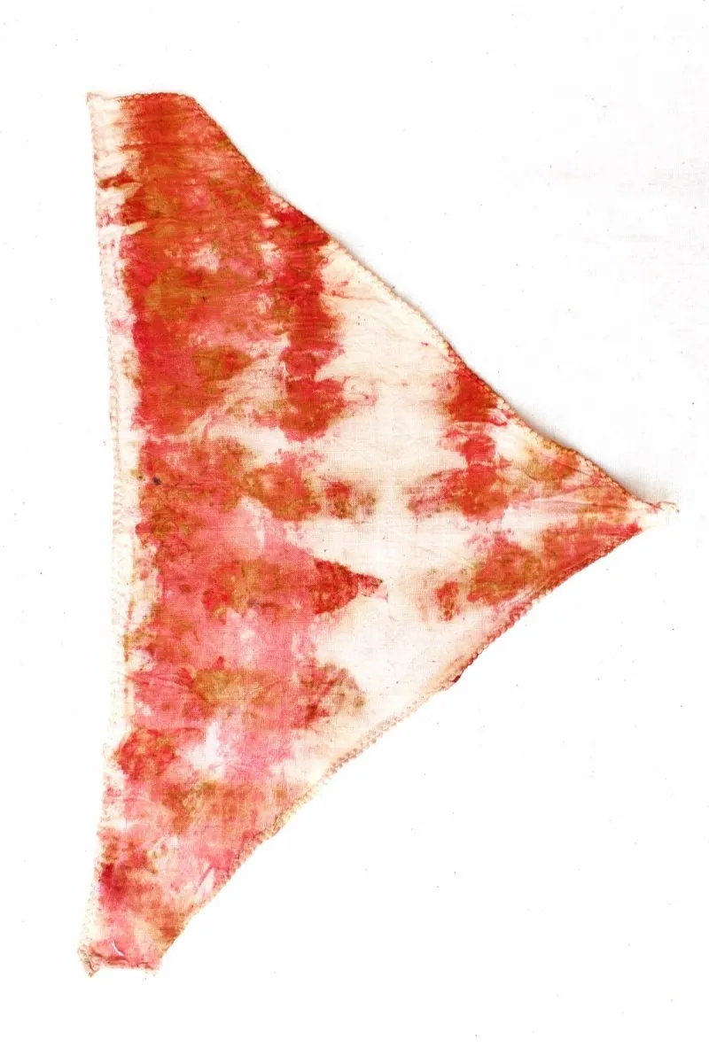 Eco Printed Organic Cotton Pet Scarf- Bright Red White