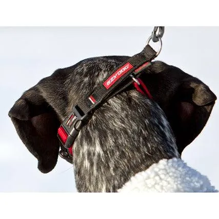 EZYDog Checkmate Dog Collar Black