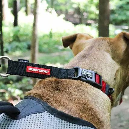 EZYDog Checkmate Dog Collar Red