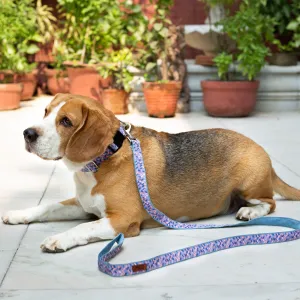 Geometrical Denim Collar   Leash Set