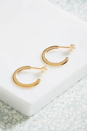 Gold Solar Hoops