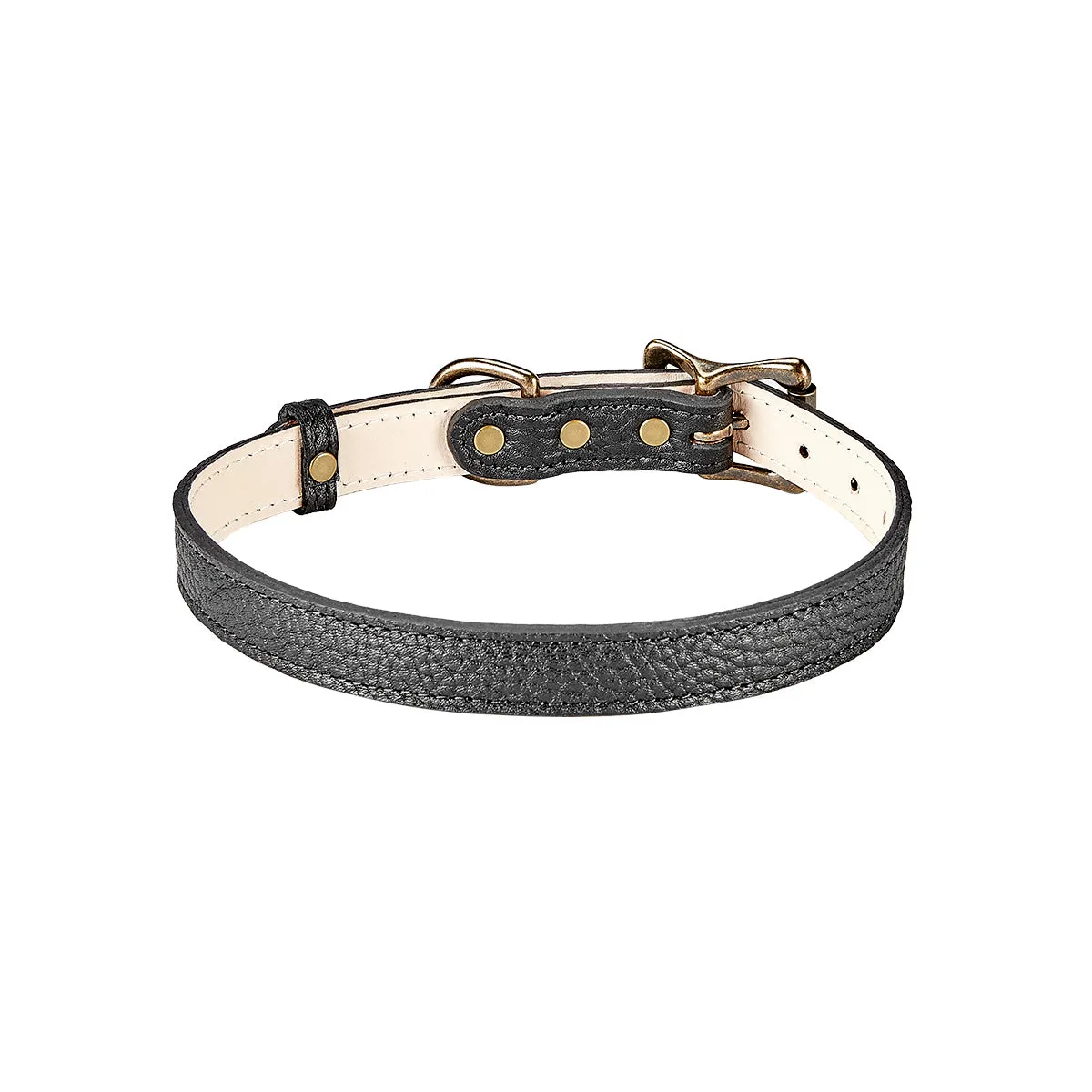 Medium Dog Collar