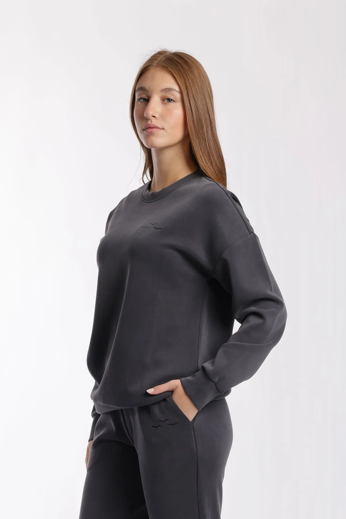 Premium luxe sueded scuba crewneck sweatshirt in charcoal