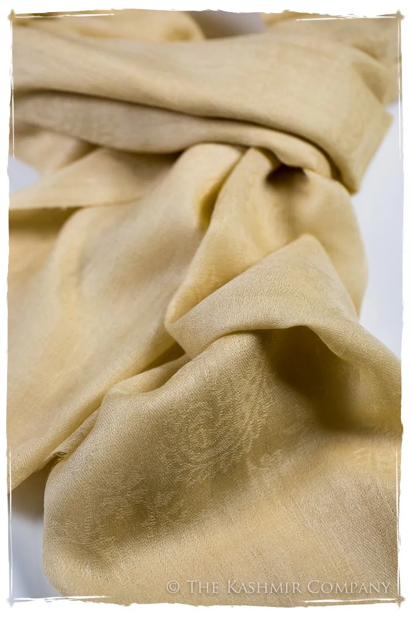 Raffia Paisley Kashmir Wool Scarf