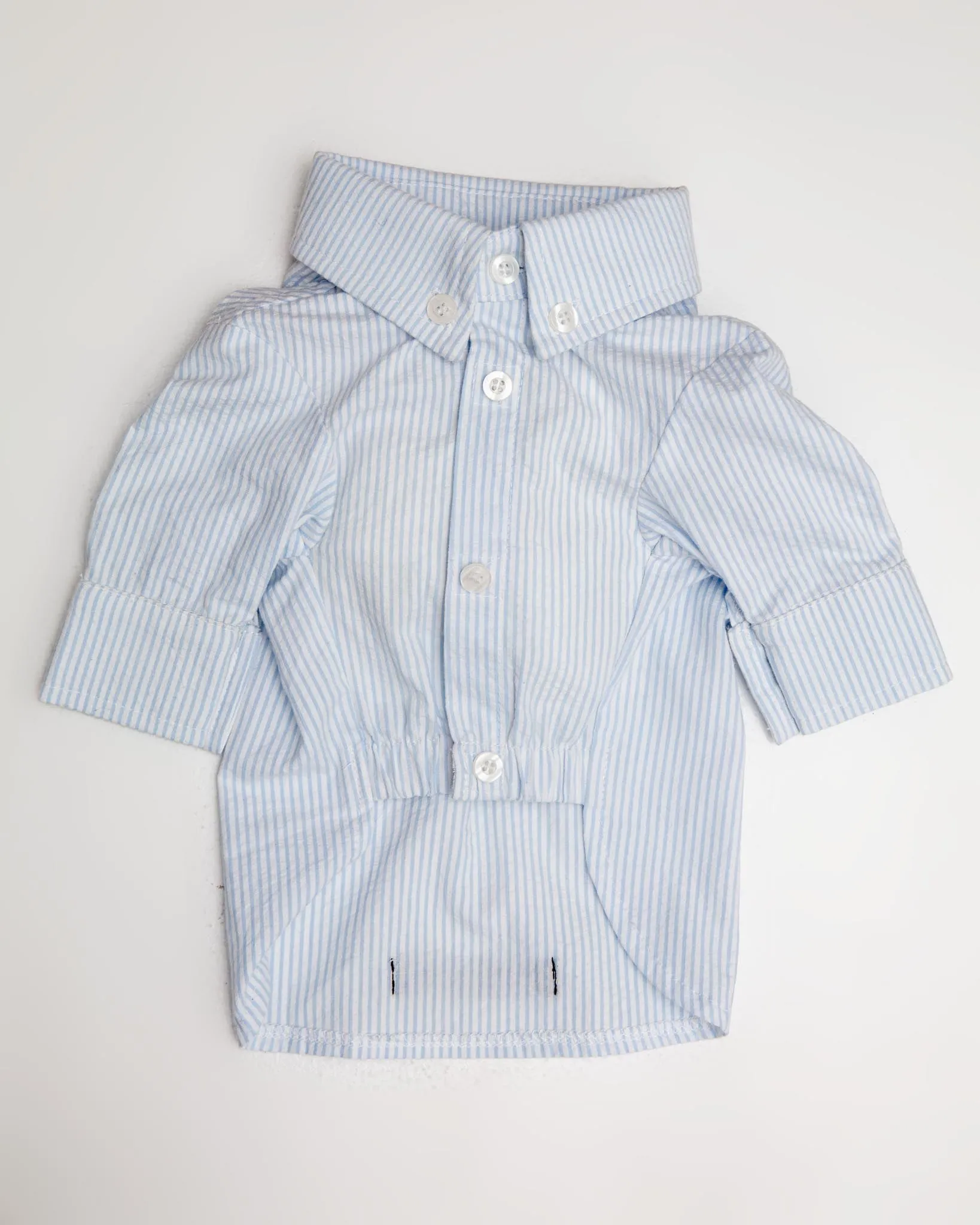 Slim Fit Organic Cotton Button Down Dog Shirt in Striped Blue