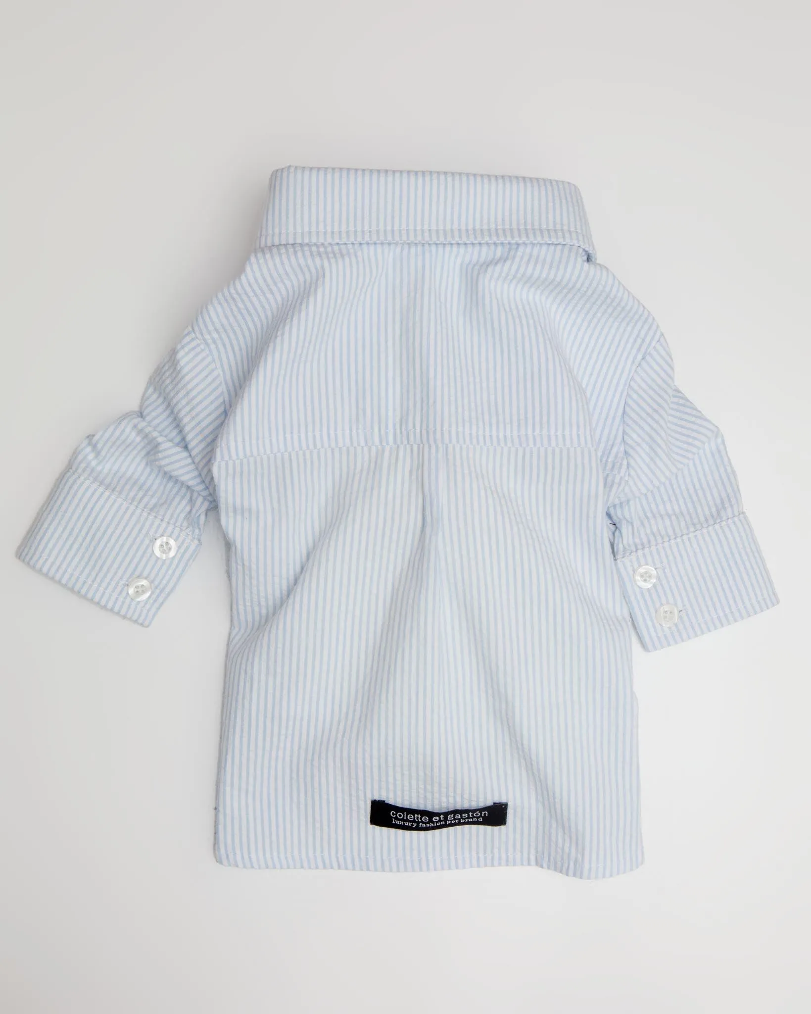 Slim Fit Organic Cotton Button Down Dog Shirt in Striped Blue