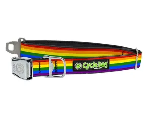 Waterproof no stink rainbow collar