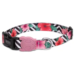 Zee.Dog Mahalo Dog Collar